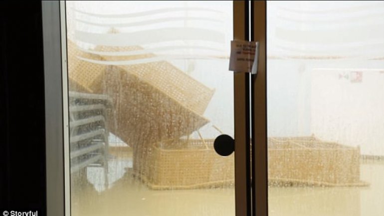 Horror moments for passengers of cruise ship that sailed into 'Bomb Cyclone': People were vomiting all over the boat