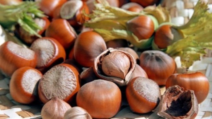 Moldovan producers signed contracts with Italian importers on hazelnut in chocolates