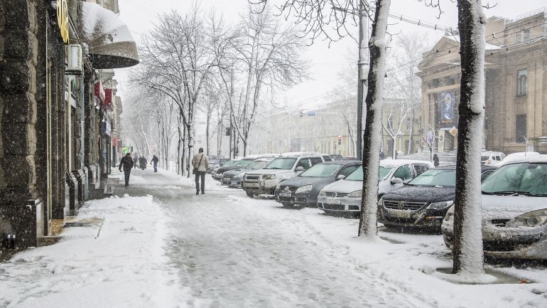 Snow fell in Moldova. Beauty of Chisinau during winter (PHOTOREPORT)