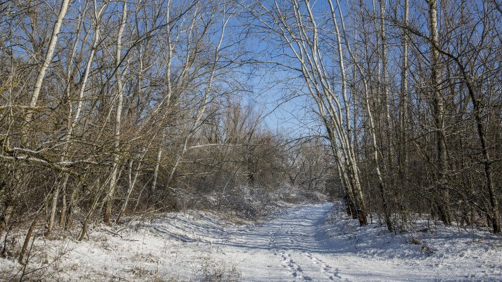 Weather forecast in Moldova for January 28, 2018  