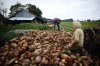 French farmer enjoys life without using machines