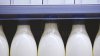 ANSA to investigate 80 dairy samples. Economic agents violating law to be sanctioned  