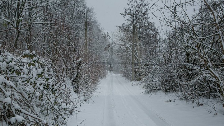 Yellow Warning for snow and sleet issued in Moldova is still avaiable