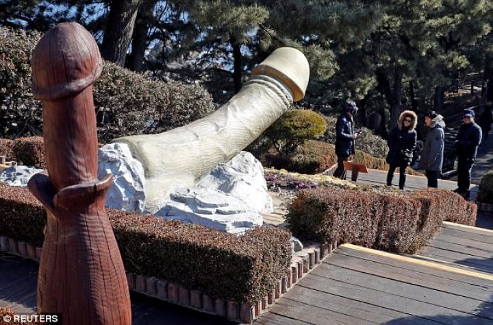 Extraordinary park in South Korea where everything is shaped like a penis has been inundated with fascinated tourists