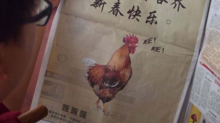 Malaysian government mocked for featuring a barking rooster in Lunar New Year advertisement