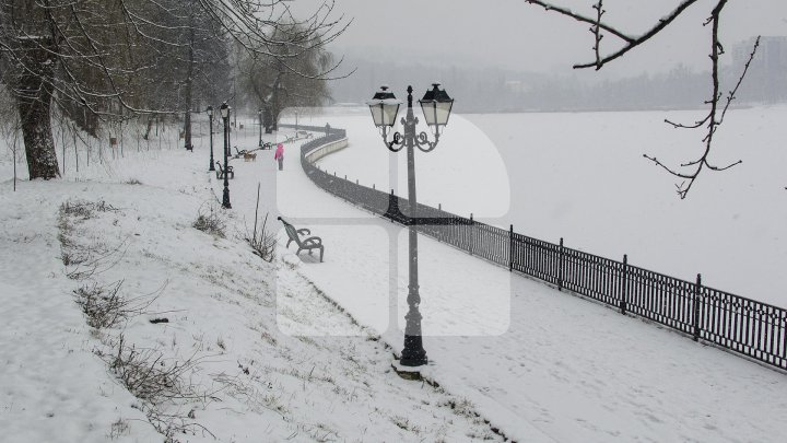 Weather forecast for coming days in Moldova