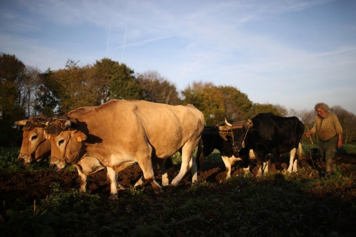 French farmer enjoys life without using machines