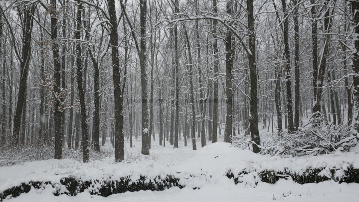 Yellow Warning for snow and sleet issued in Moldova is still avaiable