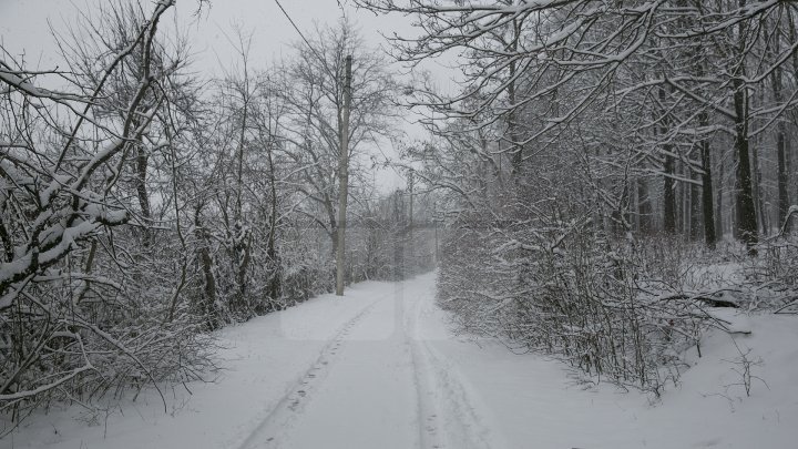 Yellow Warning for snow and sleet issued in Moldova is still avaiable