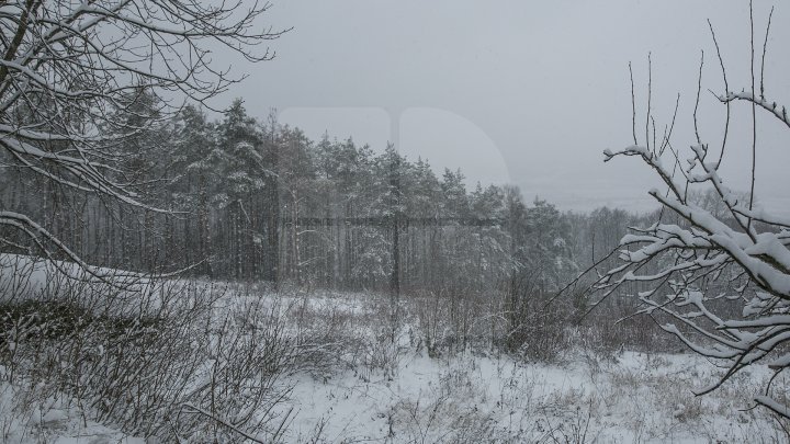 Yellow Warning for snow and sleet issued in Moldova is still avaiable