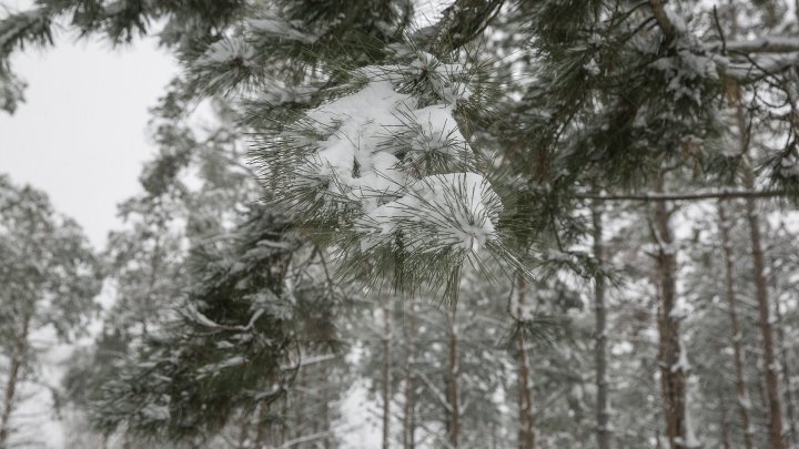 Weather Forecast for coming days in Moldova