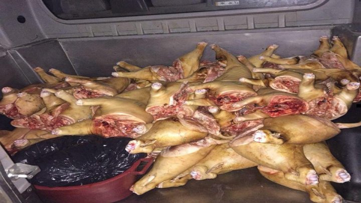 Over 1 500 kg of pork, without certificates of origin, confiscated by law enforcement