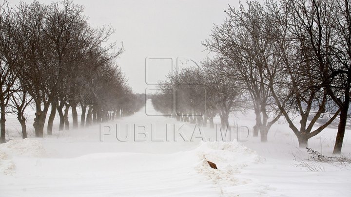 Snowstorm in Moldova. 10 car accidents registered over past 24 hours