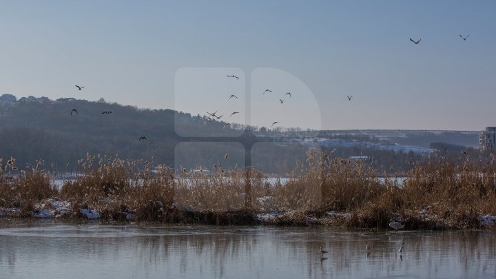 Weather Forecast for coming days in Moldova