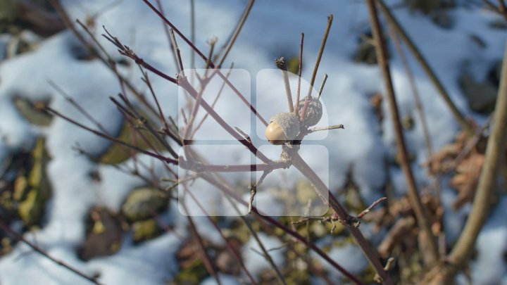 Weather forecast in Moldova for February 22, 2018