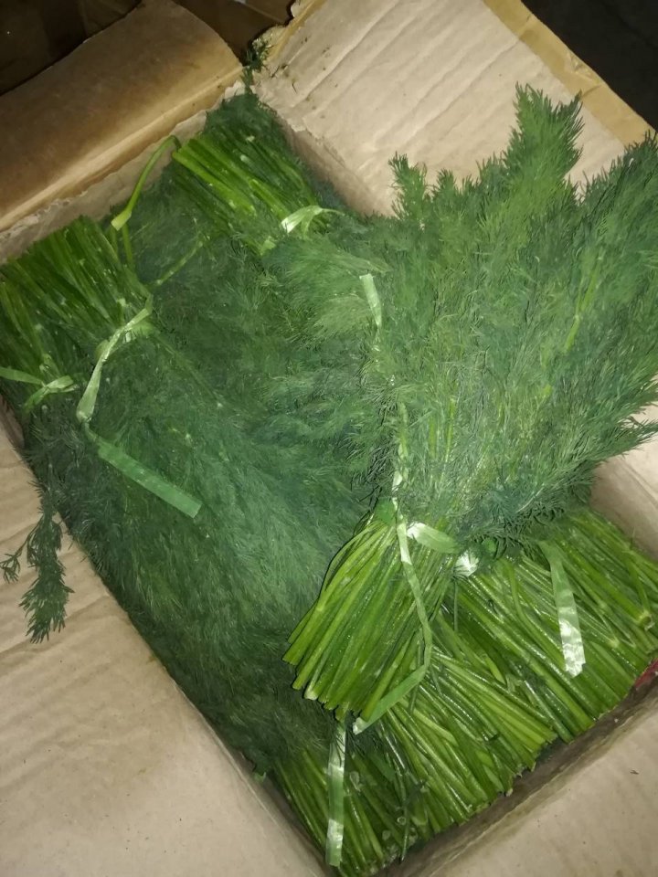 Greens from Ukraine worth 80 000 lei confiscated by Customs Service 
