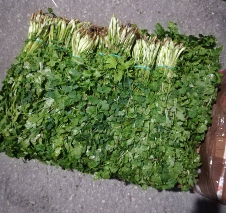 Greens from Ukraine worth 80 000 lei confiscated by Customs Service 
