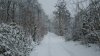 Yellow Warning for Snow issued in Southern Moldova