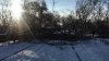 Fallen tree blocks traffic on Muncești st. in Chisinau