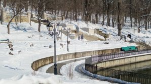 Parks were filled today with people who decided to use the nice weather to enjoy themselves
