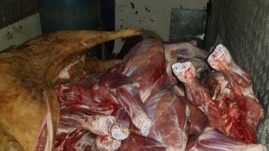 Beef without provenience acts found in mini bus from Capital