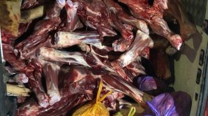 Over 3 tonnes of fish and meat, without certificates of origin, were nearly sold on markets from Capital