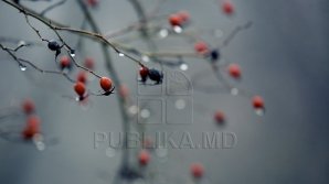 Weather Forecast for following days in Moldova 