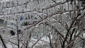 Weather forecast for coming days