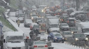 Silvia Radu: Using cars only in really necessary cases would be great help 