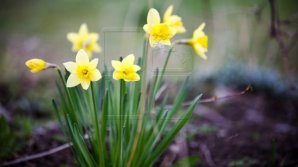 Weather forecast in Moldova for 12 May, 2018 