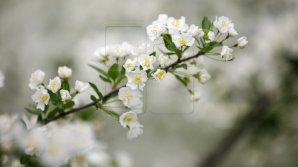 April registered anomaly warm temperatures in Moldova, reaching over +30 degrees Celsius