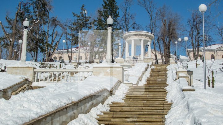 Real spring weather comes: Locals spend day out with nature (Photoreport)