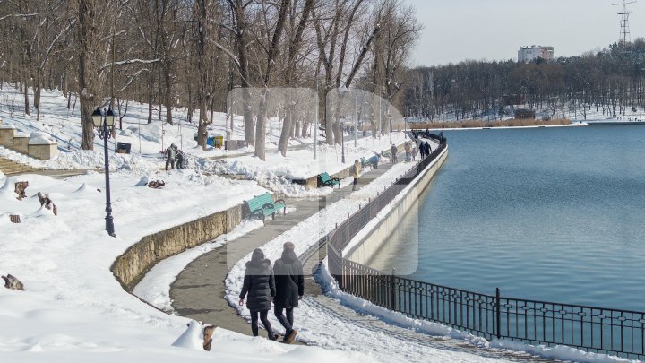 Real spring weather comes: Locals spend day out with nature (Photoreport)