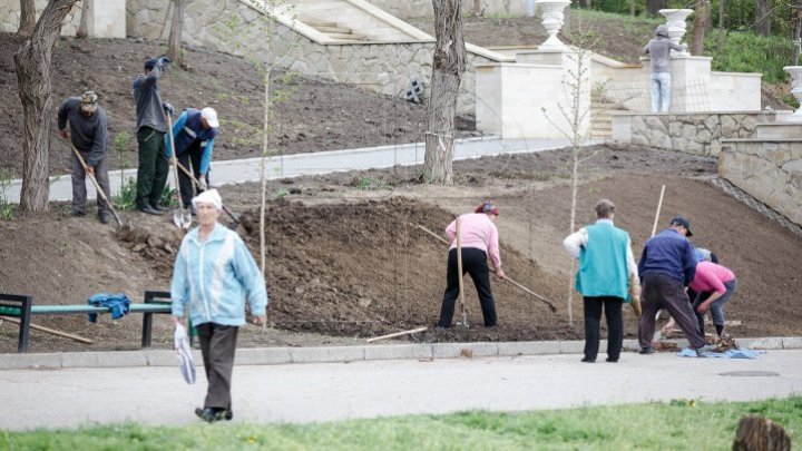 Spring Cleaning begins in the Capital