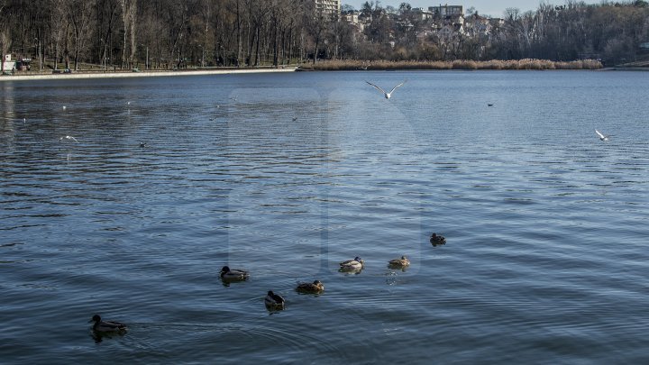 Weather forecast for coming days in Moldova