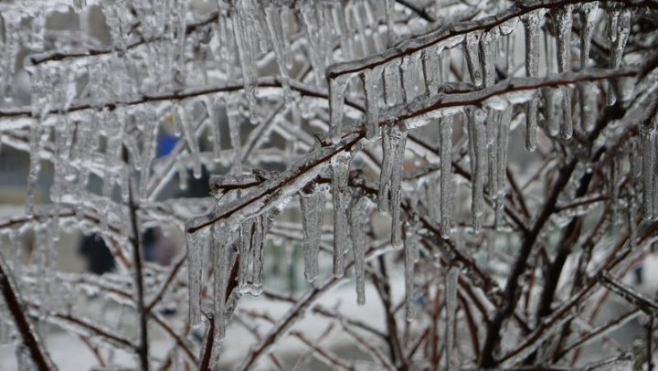 It snows in whole country! Circulation of this hour in country