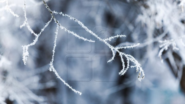 First day of Spring is met with Yellow Warning for Snow and Cold Weather. Lowest temperatures registered in Moldova