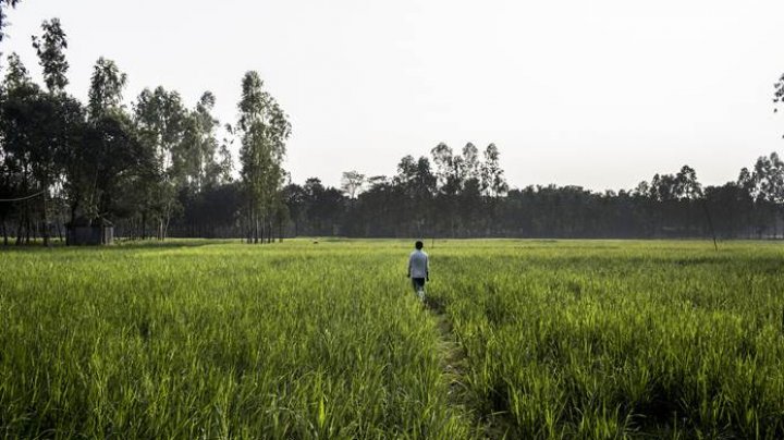 Dairy and cereals push food prices up in February