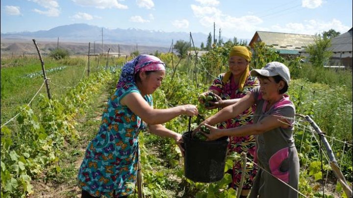 Rural women in Kyrgyzstan receive assistance from Swedish funds