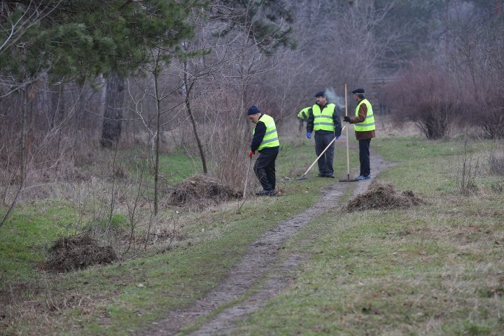 Extensive clean-up. Chisinau face has been changed enormously 