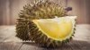 Rotting durian causes Melbourne university evacuation 