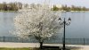 A warm and sunny day is forecast for Easter in Moldova