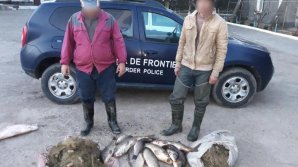 Eight Moldovans caught while illegally fishing