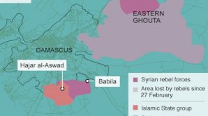 Russian Foreign Minister Sergei Lavrov:No evidence has been found of a chemical weapons attack in Syria's formerly rebel-held town of Douma