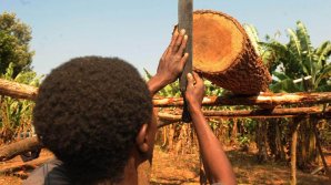 Focus on helping field workers cope with the heat