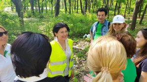 Silvia Radu: Activity in the City Hall should be based on citizens' interests