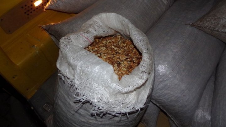 Two Moldovan were found smuggling nuts