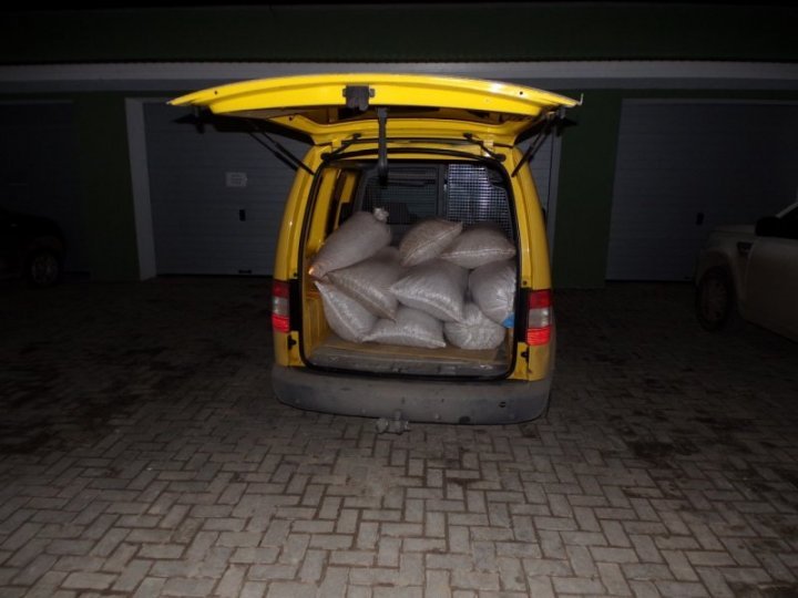 Two Moldovan were found smuggling nuts