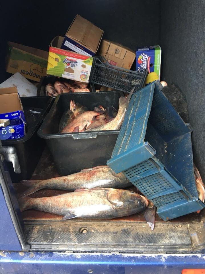 Illegally transported meat and fish seized by Patrol Officers over the weekend