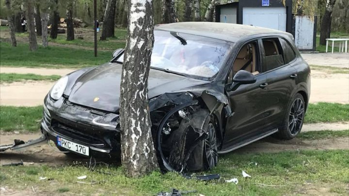 Luxury car hit against tree after dogs attempt to crawl over driver 